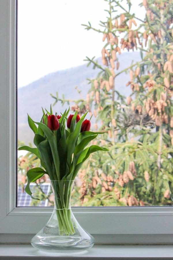 Villa Haskova With 3 Bedrooms Banska Bystrica Luaran gambar